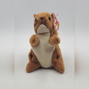 TY Beanie Baby “Nuts” the Squirrel  Retired Vintage Collectible MWMT (6 inch)